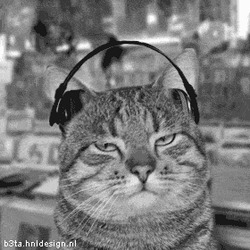 Кот в наушниках шевелит ушами - картинка gif