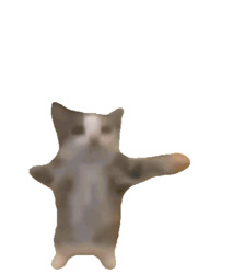 Стоящий кот на черном фоне - картинка gif
