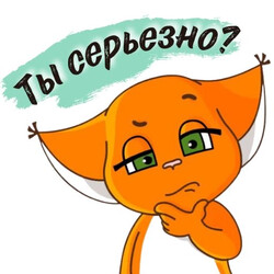 Кот с серьезным вопросом - картинка gif