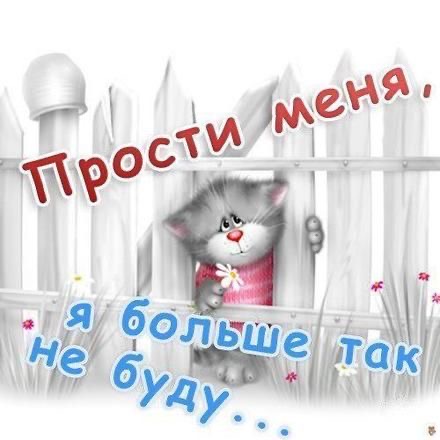 Грустный котенок просит прощения у тебя - гифки и картинки