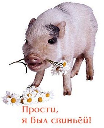 Поросёнок с ромашками - гифки и картинки