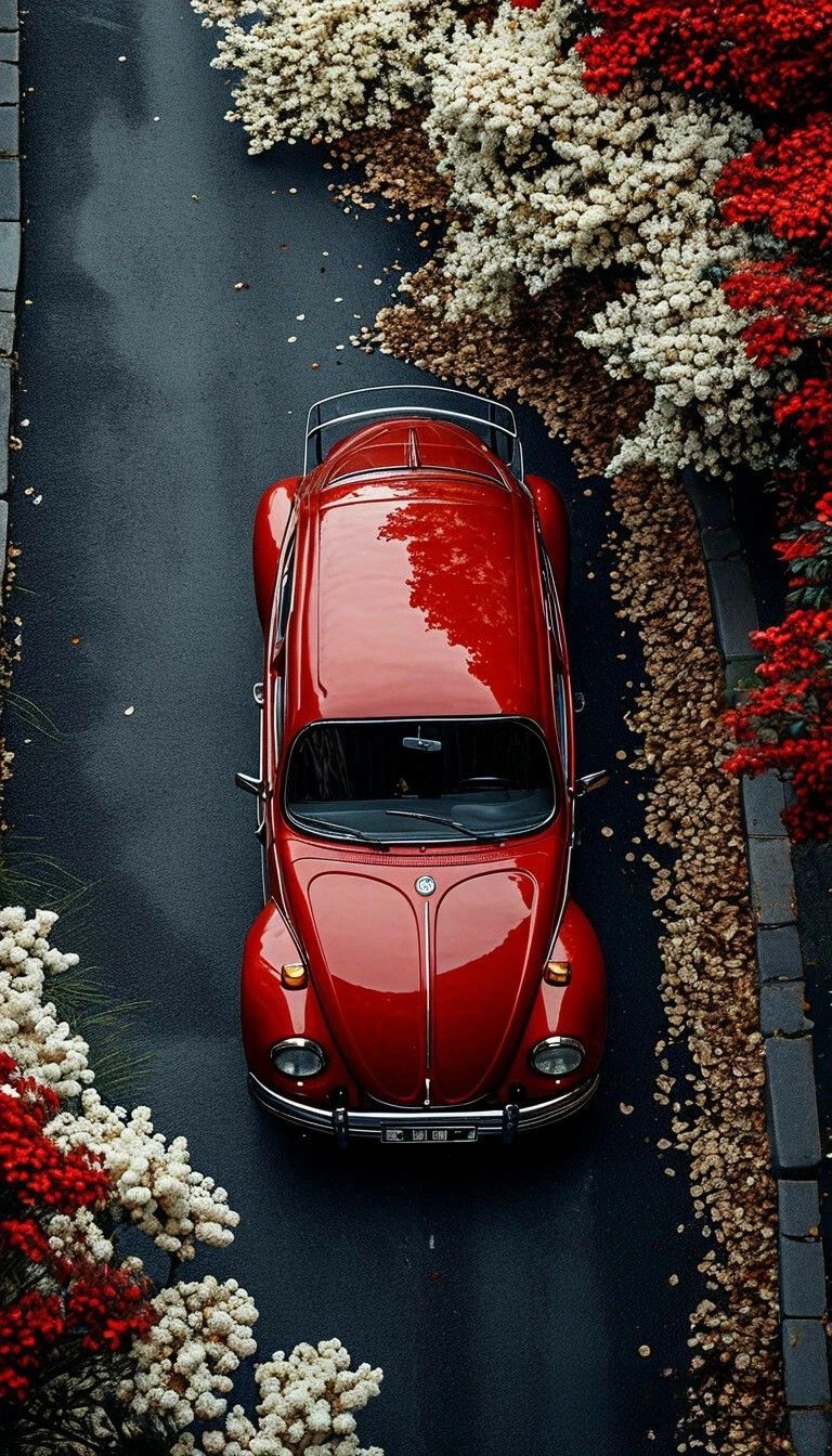 Красный Volkswagen Beetle - гифки и картинки