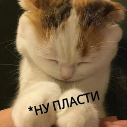 Грустный котенок просит прощения - картинка gif