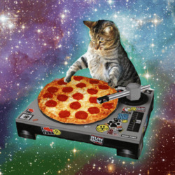Кот диджеит пиццей - картинка gif