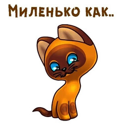 Милый рисованный кот - картинка gif