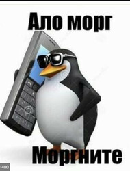 Пингвин с мобильным телефоном - картинка gif