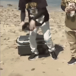 Человек делает отжимание - картинка gif