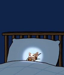 Кот с телефоном в кровати - картинка gif