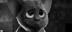Грустный пушистый зверек - картинка gif