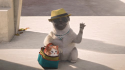 Собака с котенком машет - картинка gif