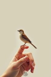 Птица на пальце руки - картинка gif