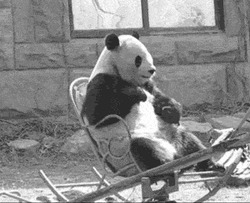 Панда качается на качелях - картинка gif