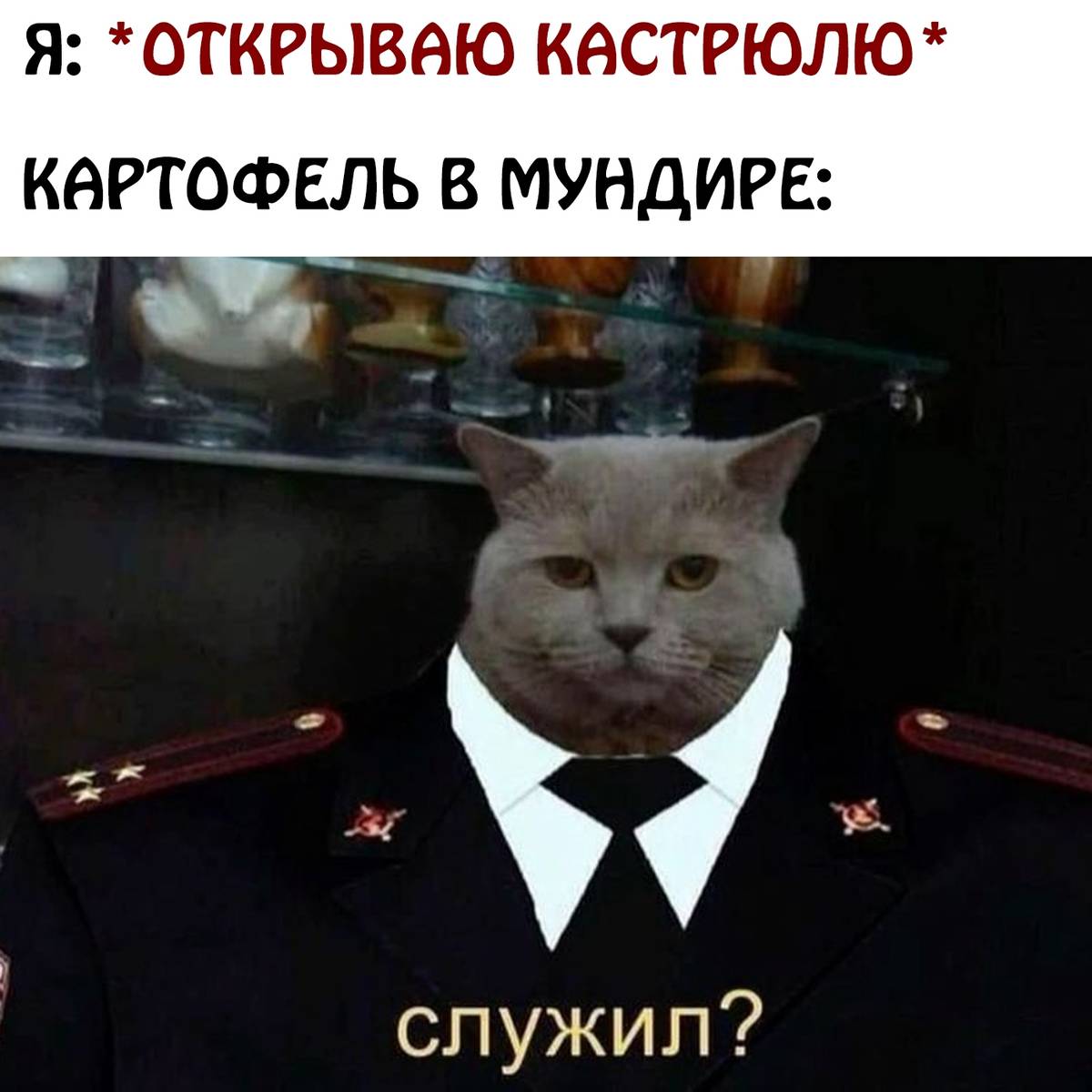 Кот в полицейской форме - гифки и картинки