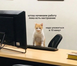 Кот за рабочим столом - картинка gif