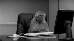 Обезьяна работает за компьютером - картинка gif