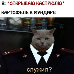 Кот в полицейской форме - картинка gif