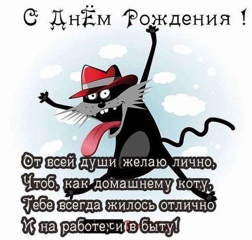 Позитивное поздравление с котом - картинка gif