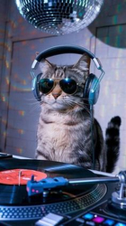 Кот в наушниках диджеит - картинка gif