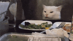 Кот смотрит на еду - картинка gif