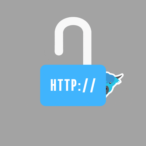 Переключение протокола HTTP на HTTPS - гифки и картинки