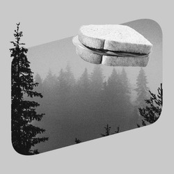 Сэндвич сканирует лесной массив - картинка gif