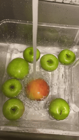 Промывка яблок водой - Еда