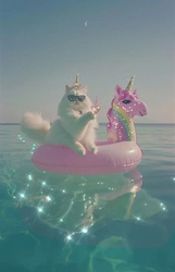 Кот на розовом единороге - картинка gif