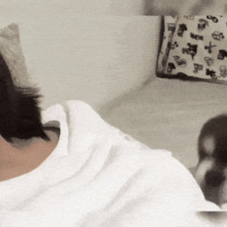 Щенок ластится к человеку - картинка gif