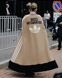 Кейп Gucci x Adidas - картинка gif