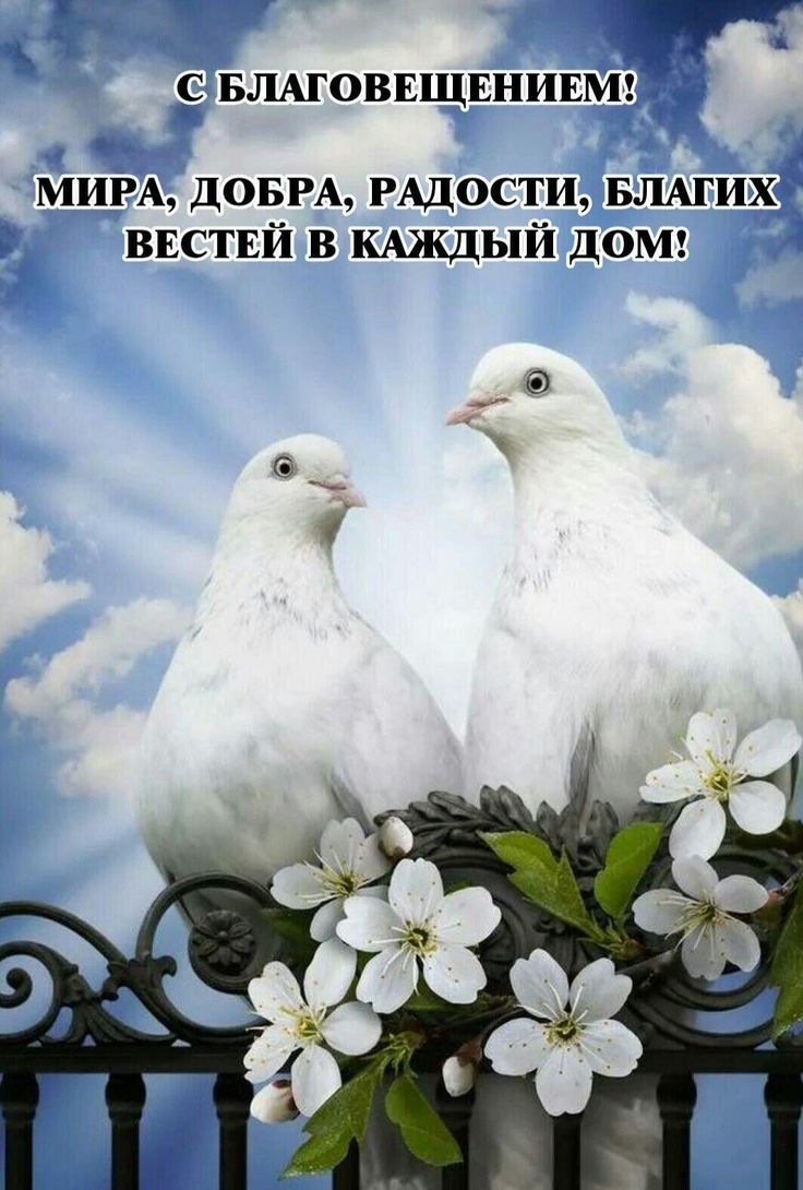 Светлый праздник Благовещения 2026 - гифки и картинки