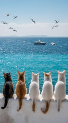 Коты смотрят на море - картинка gif
