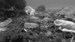 Загрязнение морского дна пластиком - картинка gif