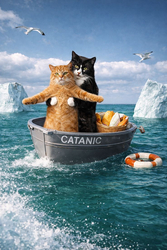 Коты в лодке - картинка gif