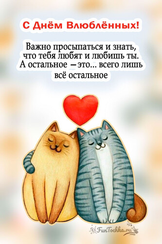 Счастливые коты в любви - картинка gif