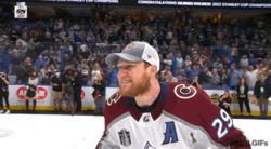 Игрок поднимает Кубок Стэнли - картинка gif