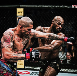 Бой двух бойцов UFC - картинка gif