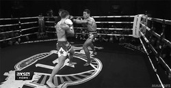 Боец муай-тай нокаутирован ударом - картинка gif