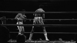 Рокки отправляет Аполло Крида в нокаут - картинка gif