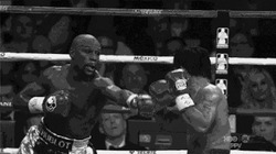 Боксерский обмен ударами - картинка gif