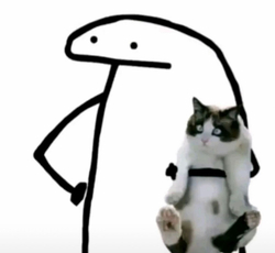 Человек с котом - картинка gif