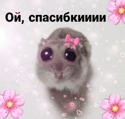 Милый хомячок с бантиком - картинка gif