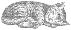 Кот спит, мерцая - картинка gif