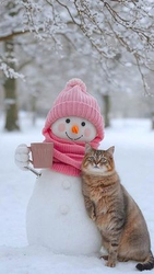 Кот рядом со снеговиком - картинка gif