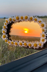 Сердце из ромашек - картинка gif
