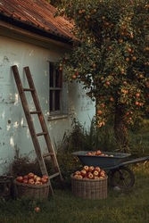 Сезон сбора урожая - картинка gif