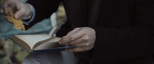 Человек закладывает книгу листом - Всемирный день книги и авторского права
