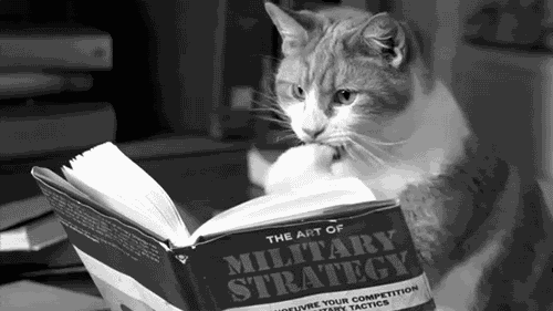 Кот читает книгу - гифки и картинки