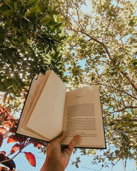 Чтение книги на природе - картинка gif