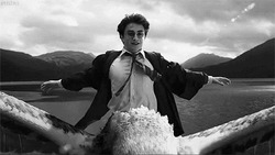 Гарри Поттер летит на гиппогрифе - картинка gif