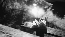 Книга переворачивает страницы на скамейке - картинка gif